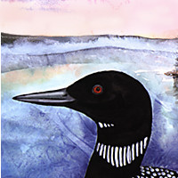 Common Loon 