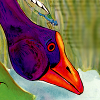 Purple Gallinule