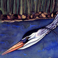 Great Blue Heron